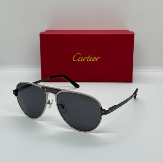 Cartier Santos Titanium CT0533S Black x Silver