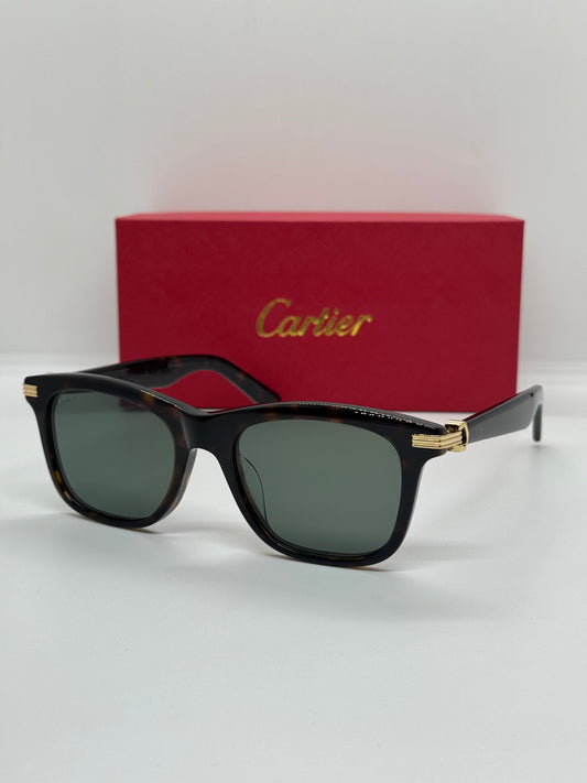 Cartier Première  CT0396S Olive Tortoise