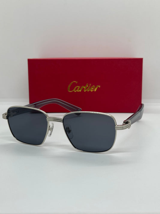 Cartier CT0538S Gray x Silver