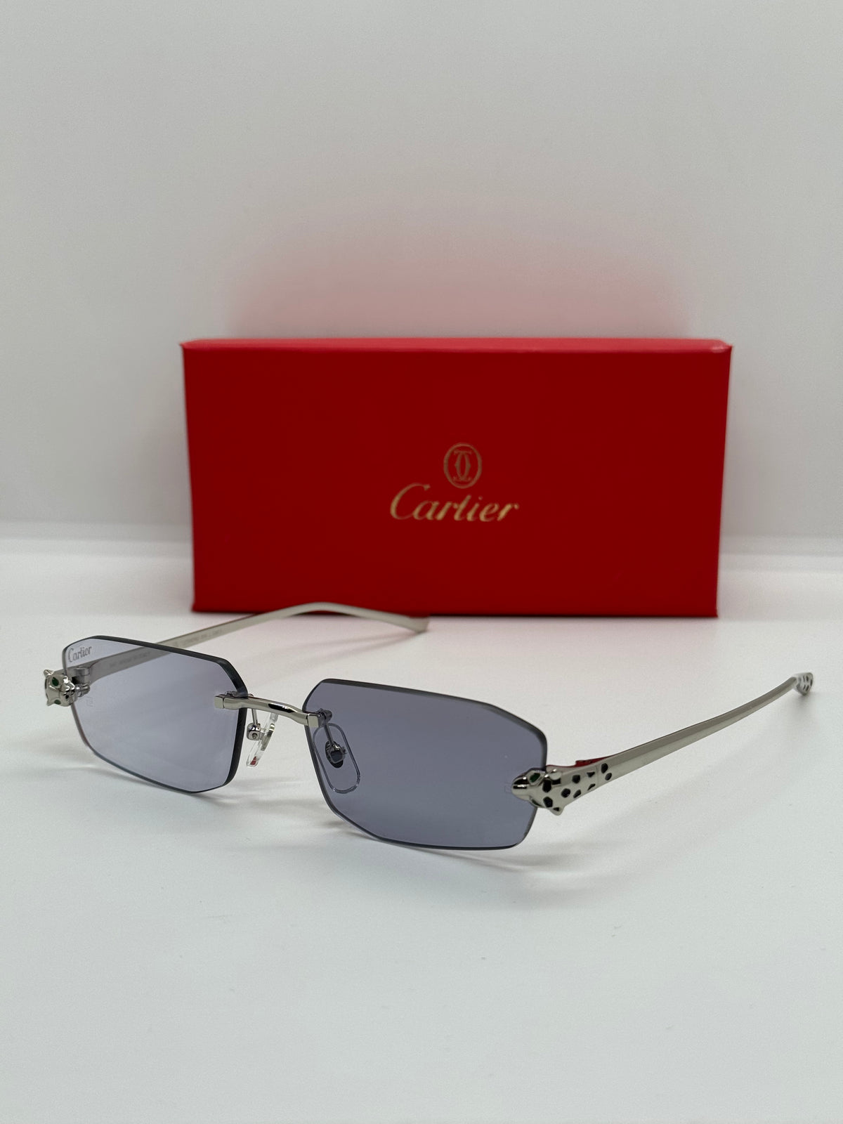 Cartier Panthere CT0474S Silver Photochromic