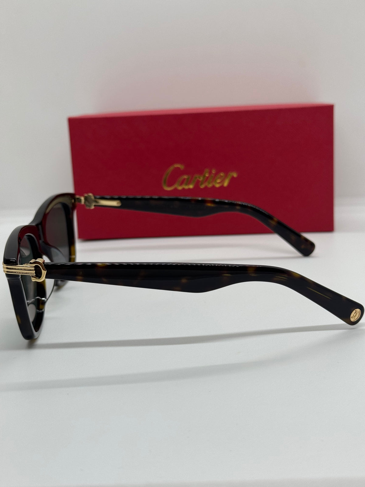 Cartier Première  CT0396S Olive Tortoise