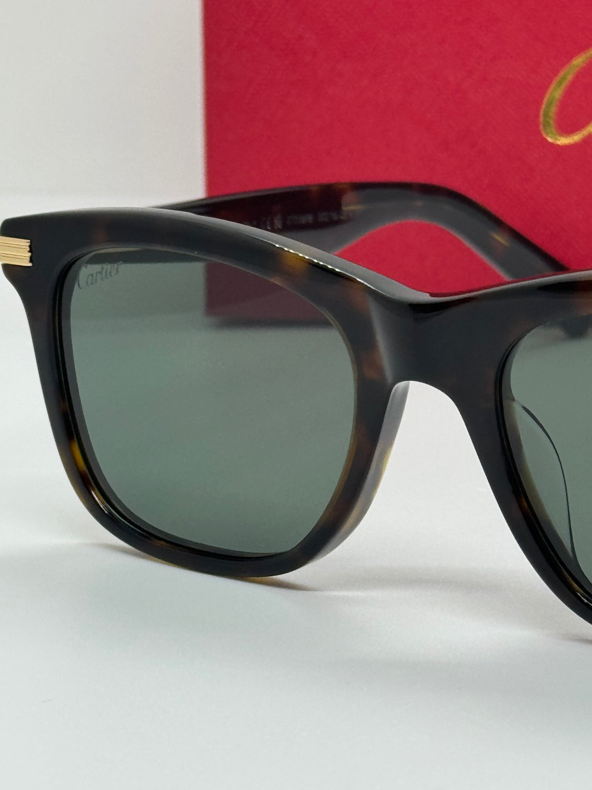 Cartier Première  CT0396S Olive Tortoise