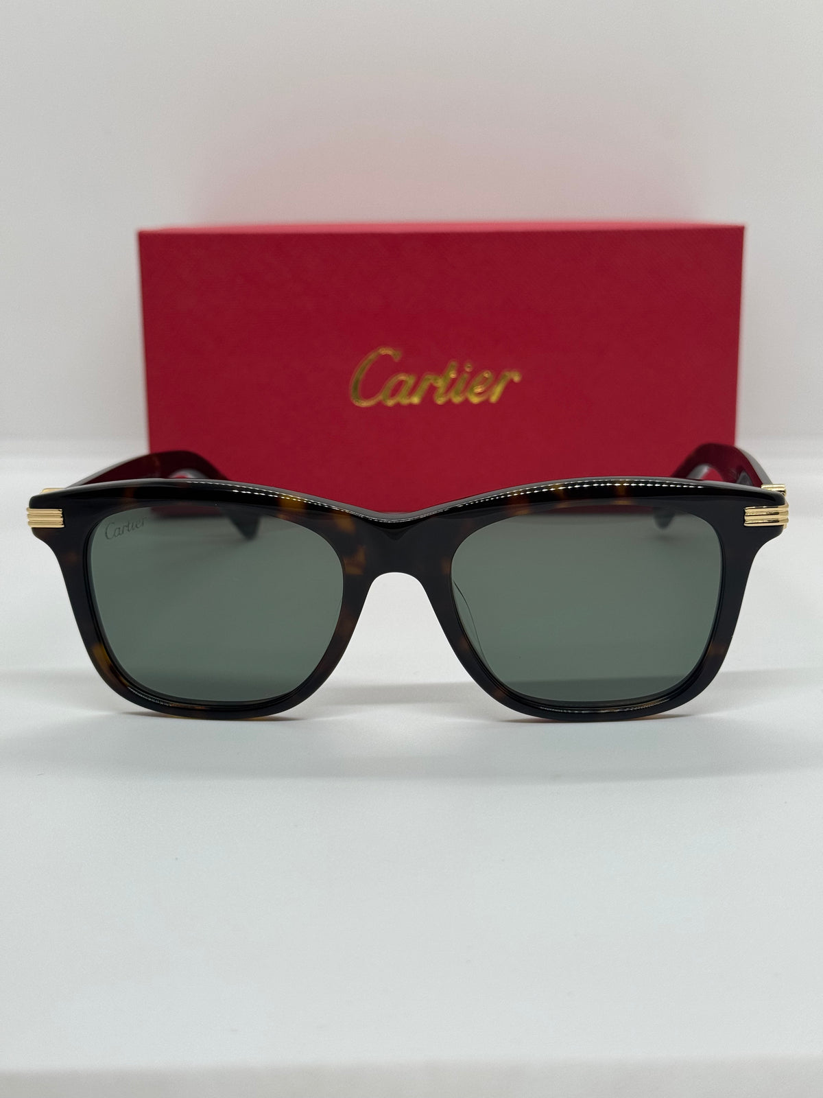 Cartier Première  CT0396S Olive Tortoise